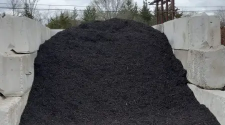 Black Mulch