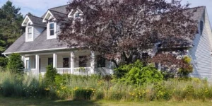 bush removal services